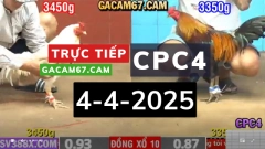 TRỰC TIẾP ĐÁ GÀ THOMO CPC5 TỪ SÁNG TỚI TỐI NGÀY 4-4-NĂM 2025