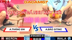 HAI CON ĐÁ NHƯ MÁY XỚI IDOL THẤT THỦ TẠI CPC2 NGÀY 25-5-2025 TRẬN 2