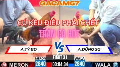 TRẬN 31 TẠI ĐÁ GÀ CPC3 ANH TÝ BD VS ANH DŨNG SG NGÀY 10-5 (CÚ KÊU ĐIỀU TỬ )