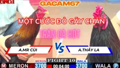 XANH CANH CHẶN CƯỚC ĐỎ GÃY DÒ TRẬN 10 TẠI BỒ CPC1 NGÀY 17-5 NĂM 2025