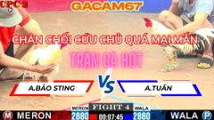 CHÂN CHỐI CỨU CHỦ CỦA IDOL BẢO SITNG TRẬN 4 TẠI CỒN 2 NGÀY 6-6-2025