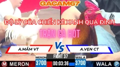 ĐỘ LỲ CỦA CHIẾN KÊ XANH QUÁ ĐỈNH TRẬN 37 TẠI CỒN 3 NGÀY 9-6- NĂM 2025