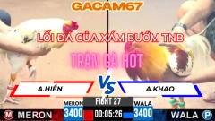 LỐI ĐÁ CỦA XÁM BƯỚM TÂY BAN NHA TRẬN 27 TẠI CỒN 3 NGÀY 4 -6-2025