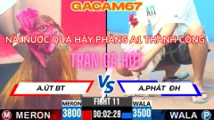 NÀI NƯỚC QUÁ GIỎI BƯỚM PHẢNG ĂN 1 THÀNH CÔNG TRẬN 11 TẠI CỒN 3 NGÀY 10-6